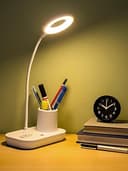 Study Lamp (WEIRD WOLF)