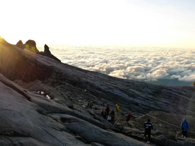 Stop Overpaying: 5 Premium Brand Alternatives Under ₹999