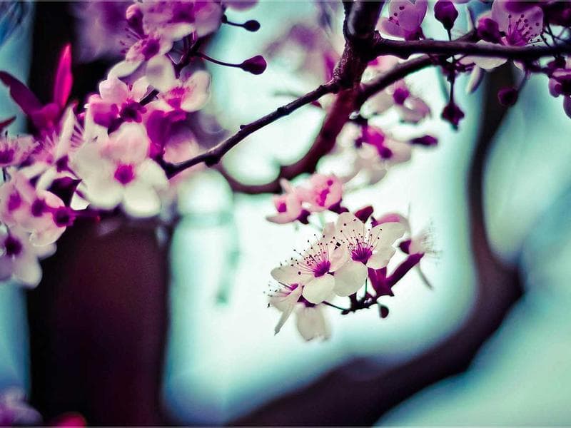 Micro-Influencer Starter Kit: Launch Your Channel for Under ₹999